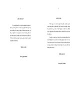 THỰC TRẠNG VÀ TRIỂN VỌNG PHÁT TRIỂN CÔNG NGHIỆP HỖ TRỢ NGÀNH ĐIỆN TỬ GIA DỤNG Ở VIỆT NAM