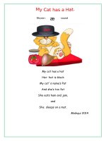 67104 my cat has a hat 