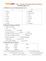 Bài tập ôn tập Tiếng Anh lớp 7 Unit 1, 2, 3