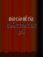 Báo cáo đề tài  vị đắng trong rau quả