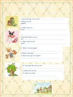 64519 can you answer the questions 