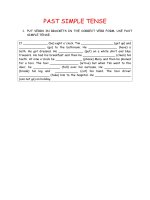 16353 past simple tense 