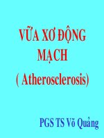 Bài Giảng Vữa Xơ Động Mạch (Atherosclerosis)