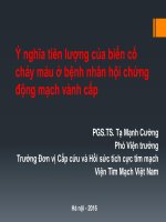 Ý nghĩa tiên lượng của biến cố chảy máu ở bệnh nhân hội chứng động mạch vành cấp