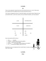 21796 using and conjugating ser and tener family unit 