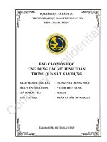 báo cáo môn học ứng dụng mô hình trong quản lý xây dựng