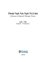 Thuật Ngữ Âm Ngữ Trị Liệu