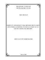 Nghiên cứu thành phần và đặc điểm phân bố của phân lớp có phổi ở khu vực xã nậm nèn, mường chà, điện biên 