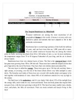 53804 unit test  2 second term 2012 
