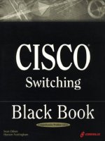 Cisco CCIE Switching Black Book