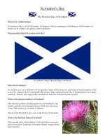 65491 st andrews day 