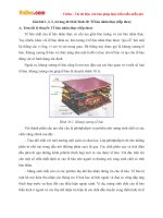 Giải bài tập trang 46 SGK Sinh học lớp 10: Tế bào nhân thực (tiếp theo)