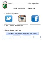 islcollective worksheets beginner prea1 elementary a1 high school writing picture the social network watching guide mili 850664516574ce4d1cca048 06017273 