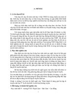 SKKN Hinh thanh ki nang giai bai tap di truyen cho hs2014 2015