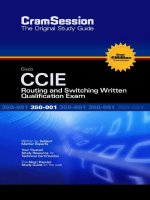 Written StudyGuide CCIE Routing