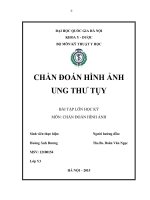 CHẨN ĐOÁN HÌNH ẢNH UNG THƯ TỤY