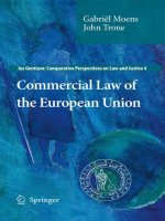 Commercial Law of the European Union Ius Gentium Comparative Perspectives on Law and Justice 4