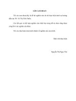 Nghiên cứu và tổng hợp nano silica từ tro trấu bằng phương pháp kết tủa 