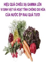 HIỆU QUẢ CHIẾU XẠ GAMMA LÊN VI SINH VẬT VÀ HOẠT TÍNH CHỐNG OXI HÓA CỦA NƯỚC ÉP RAU QUẢ TƯƠI