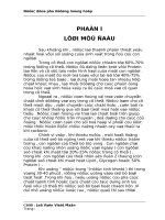 Bài tiểu luận về nước dừa