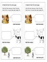 23928 food classification 