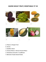 60407 fruit facts 5 pages 