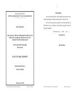Thực trạng và những giải pháp chủ yếu nhằm phát triển sản xuất chè tại thành phố Thái Nguyên