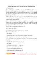 Giải bài tập trang 41 SGK Sinh lớp 9: Cơ chế xác định giới tính