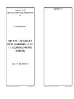 Thực trạng và những giải pháp chủ yếu nhằm phát triển sản xuất cây ăn quả tại huyện Phù Ninh tỉnh Phú Thọ