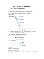 ĐẠI CƯƠNG VỀ VI KHUẨN