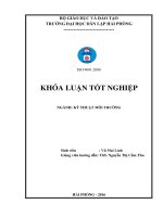 Nghiên cứu đánh giá một số tác động tới môi trường của dự án đầu tư xây dựng trang trại chăn nuôi lợn, quy mô 2 400 con 