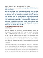 Tiểu luận môn m & a ở việt nam thực trạng và giải pháp cơ bản