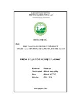 Thực trạng và giải pháp phát triển kinh tế nông hộ tại xã tiên phong   thị xã phổ yên   tỉnh thái nguyên 