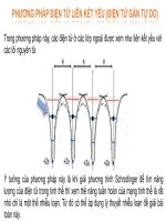 PP LIÊN kết yếu  PP LIÊN kết yếu PP LIÊN kết yếu
