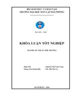 Nghiên cứu xử lý nước thải sản xuất mắm bằng bãi lọc trồng cây cỏ nến dòng chảy đứng 