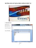 HƯỚNG dẫn sử DỤNG PHẦN mềm EVIEW 7