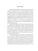 Nghiên cứu điều trị phình động mạch não cổ rộng bằng phương pháp can thiệp nội mạch