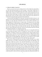 Đề tài nghiên cứu ứng dụng lý thuyết trò chơi để phân tích khả năng cạnh tranh của công ty TNHH may gia nguyễn trên địa bàn các tỉnh miền bắc