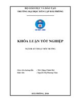 Nghiên cứu tổng hợp chất hoạt động bề mặt bằng phương pháp hydrat hóa dầu thông để xử lý dầu mỡ trên vải sợi 