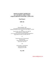 FEM of concrete structures strengthened with FRP laminates