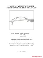 Design pedestrian bridge report