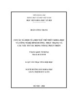 Cơ cấu xã hội của đội ngũ trí thức khoa học và công nghệ bình dương thực trạng và các yếu tố tác động tới sự phát triển 