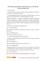 Giải bài tập trang 28 Sinh lớp 7: Đặc điểm chung và vai trò thực tiễn của động vật nguyên sinh