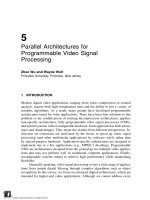 Parallel Architectures For Programmable Video Signal Processing