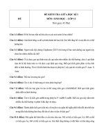 Đề kiểm tra giữa học kì 1 môn sinh học lớp 12   đề 4 