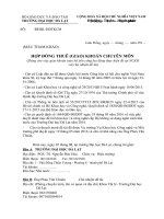 Mau hop dong giao khoan chuyen mon_chuan