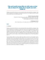 Tiêu sợi huyết trong điều trị nhồi máu cơ tim cấp có đoạn ST chênh lên ở người cao tuổi