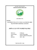 Giải pháp củng cố và nâng cao thương hiệu hạt dẻ trùng khánh, cao bằng 