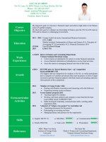 CV   trình bày 1 CV từ luu tuan minh