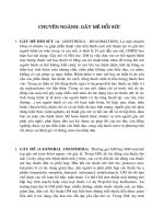 CHUYÊN NGHÀNH GÂY MÊ HỒI SỨC